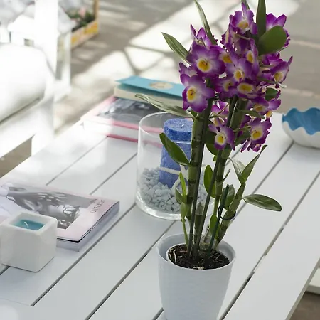 La Pergola Pensionat Capri