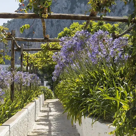 בית הארחה La Pergola 4*